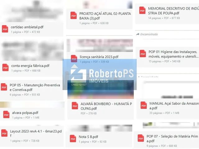 Imagem 4: Excelente e Moderna Indústria de Polpa de Assaí