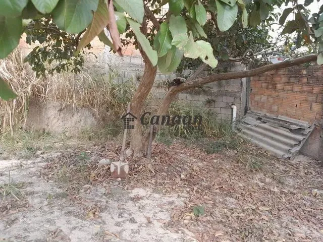 Imagem 11: Ibirité - Casa Padrão - Palmeiras