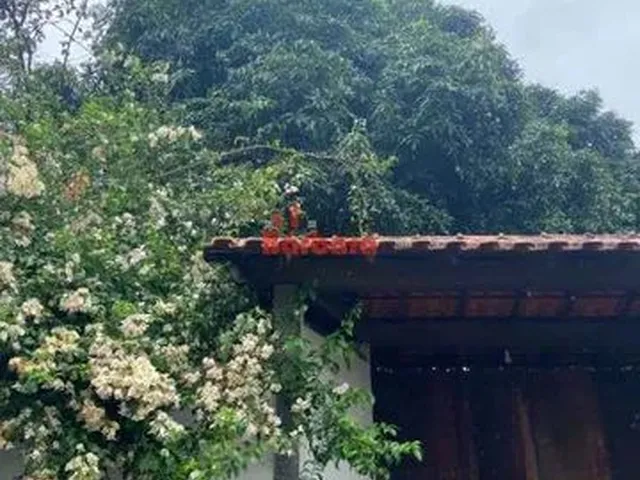 Imagem 10: Casa com 4 Quartos, (Inoã), Maricá, Cód.: 4691