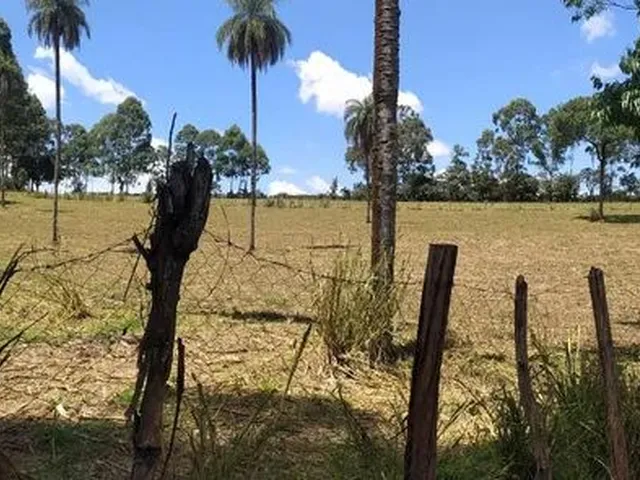 Imagem: Chacara de 5.000 M2 Igarapé Próximo a