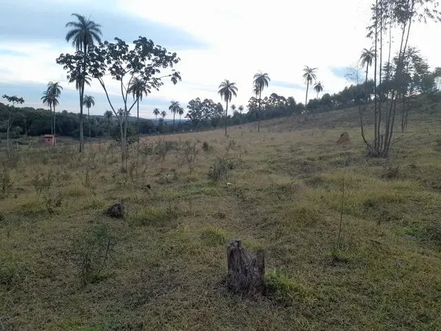 Imagem 2: Chacara de 5.000 M2 Igarapé Próximo a Sada