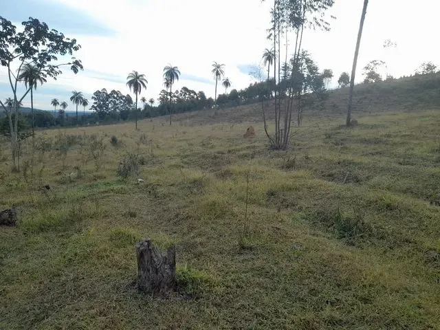 Imagem 3: Chacara de 5.000 M2 Igarapé Próximo a Sada