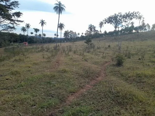 Imagem 5: Chacara de 5.000 M2 Igarapé Próximo a Sada