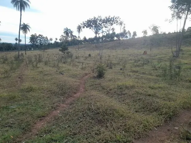 Imagem 7: Chacara de 5.000 M2 Igarapé Próximo a Sada