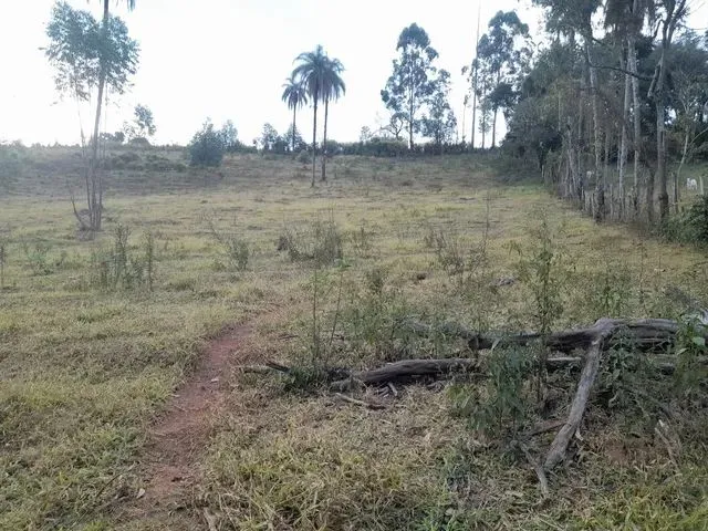 Imagem 6: Chacara de 5.000 M2 Igarapé Próximo a Sada