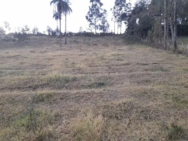 Imagem 4: Chacara de 5.000 M2 Igarapé Próximo a Sada