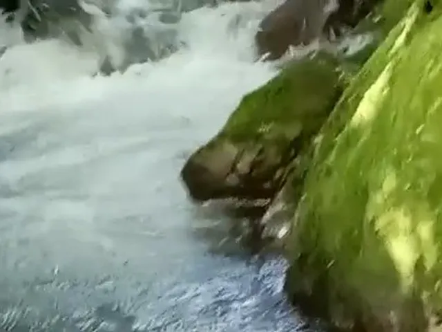 Imagem: Sítio Espetacular, 2 Hectares com Cachoeira