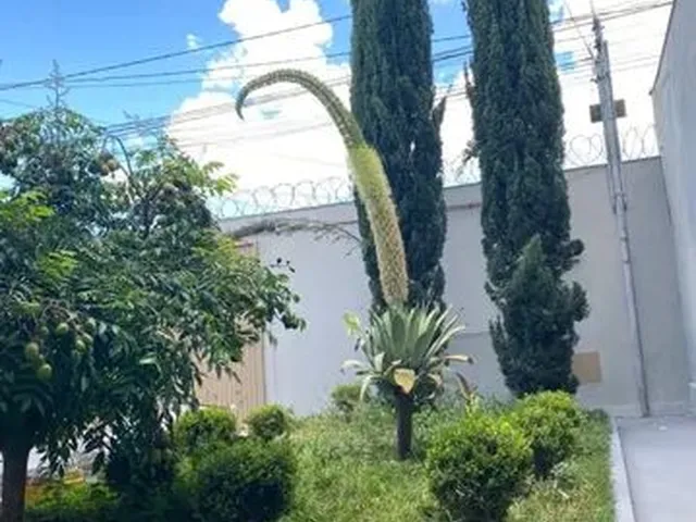 Imagem 8: Alugo Casa Bairro Santo André Anápolis