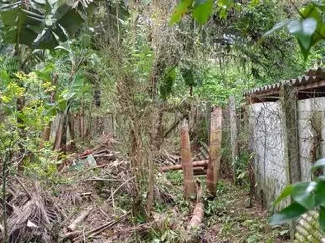 Imagem 7: Aluga-Se Casa no Centro de Pirabeiraba com 1 Suíte Mais 3 Dormitórios, Joinville, Sc