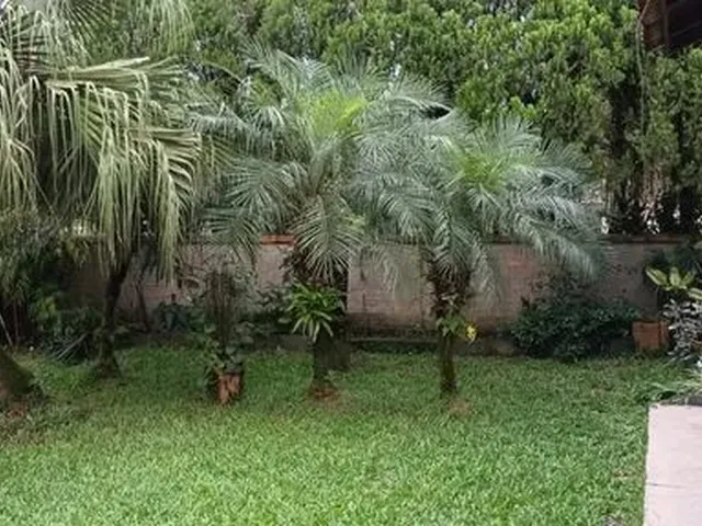 Imagem 13: Aluga-Se Casa no Centro de Pirabeiraba com 1 Suíte Mais 3 Dormitórios, Joinville, Sc