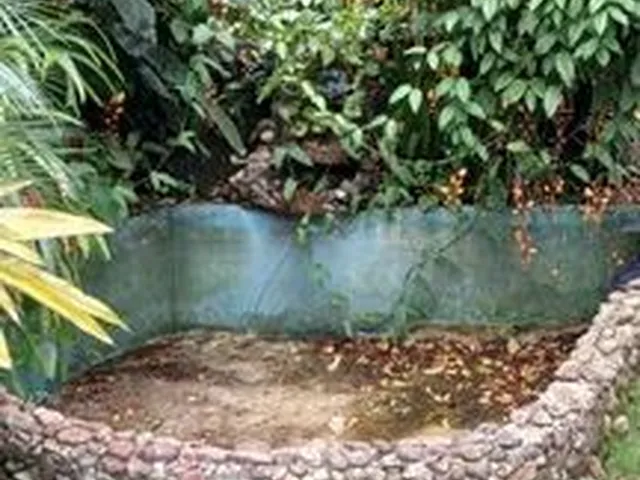 Imagem 11: Aluga-Se Casa no Centro de Pirabeiraba com 1 Suíte Mais 3 Dormitórios, Joinville, Sc