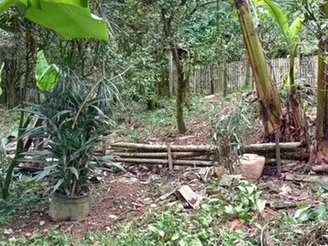 Imagem 9: Aluga-Se Casa no Centro de Pirabeiraba com 1 Suíte Mais 3 Dormitórios, Joinville, Sc