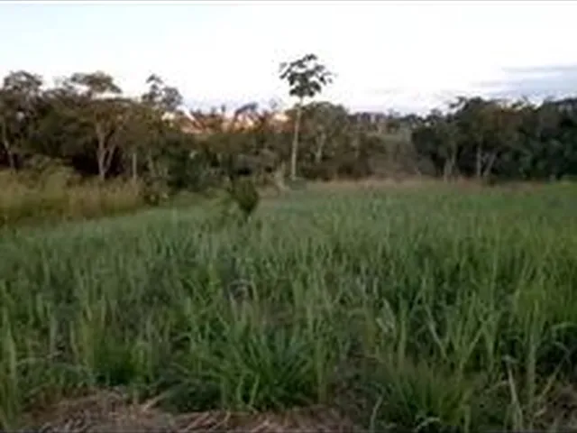 Imagem: Vendo Terreno no Apolônio Sales Mede 12Por
