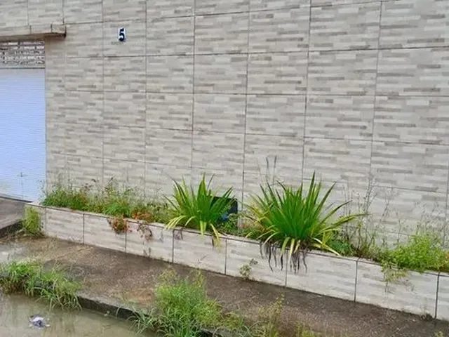 Imagem: Alugo Casa no Denisson Amorim