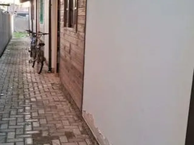 Imagem 2: Aluguel de Casa no Ribeirão da Ilha