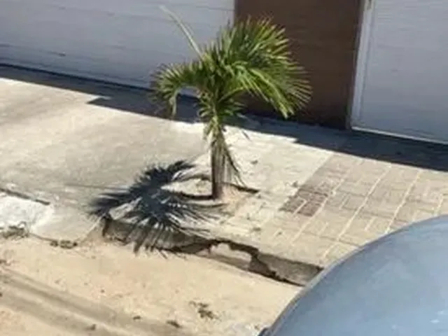 Imagem 1: Alugo Casa em Condomínio Residencial