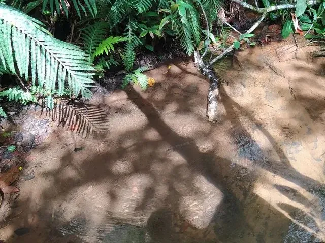 Imagem: Venda Ou Troca