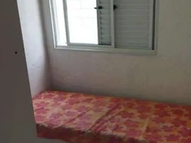 Imagem 12: Florianópolis - Padrão - São João do Rio Vermelho