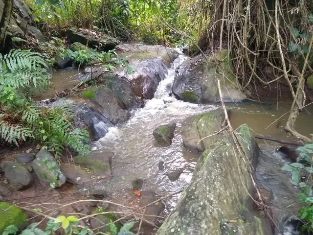 Imagem: Sitio 11 Hectares em Areia