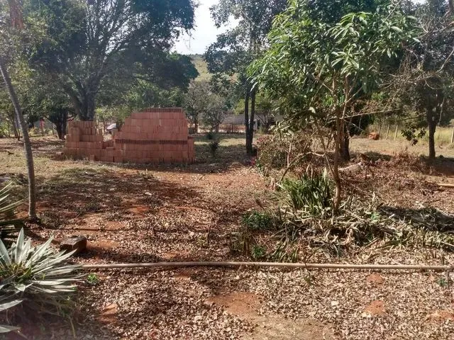 Imagem: Lote de 1022Mts em Igarapé Barato !!!