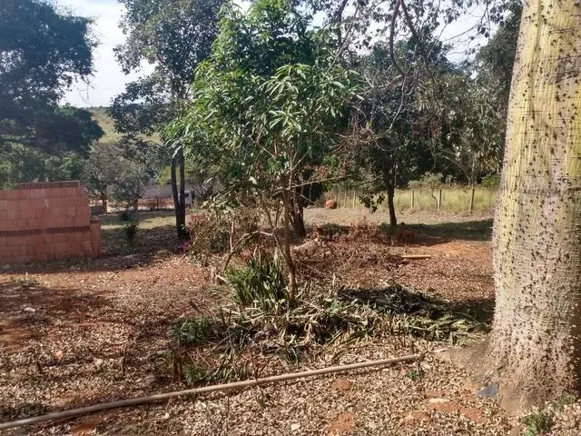 Imagem 4: Lote de 1022Mts em Igarapé Barato !!!