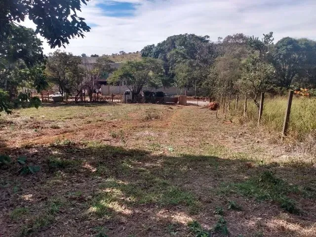 Imagem 3: Lote de 1022Mts em Igarapé Barato !!!