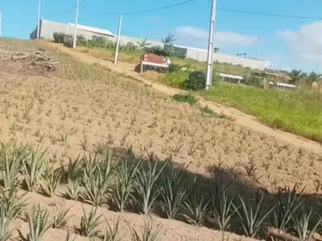 Imagem 1: Vendo Terreno em Marataízes, Lagoa do Siri! Casa Ou Sítio