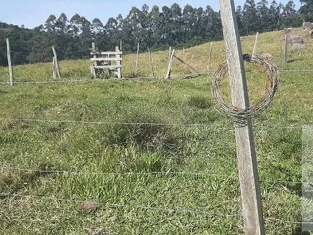 Imagem 6: Terreno para Venda em Imaruí, Recanto das Flores