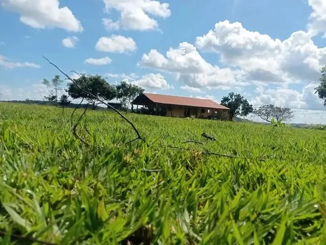 Imagem: Fazenda Localizada a 90 Km de Cuiabá, 15
