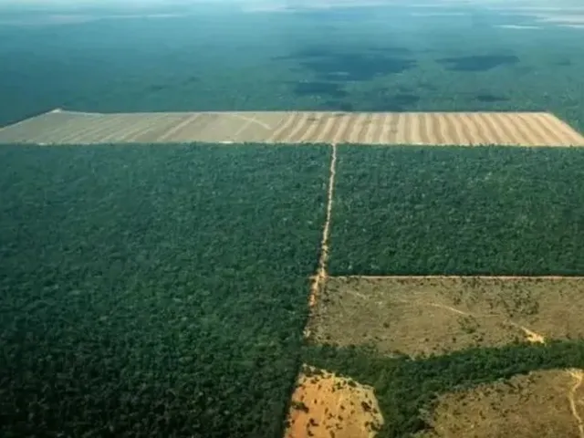 Imagem: 3400 Hectares - Fazenda em Paranatinga Mato