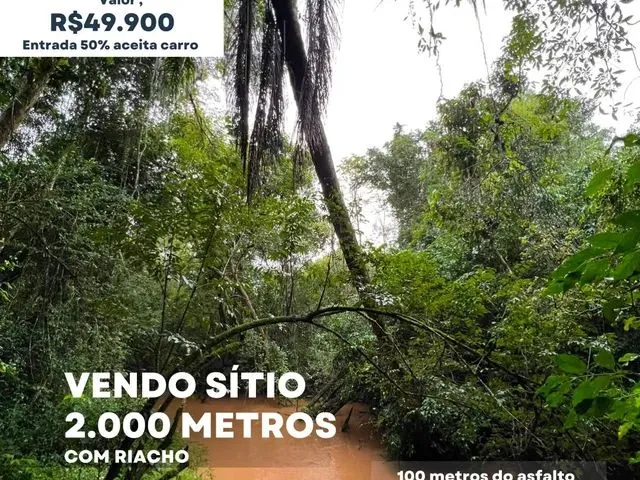 Imagem: Vendo Um Sítio com Riacho 100 Metros da