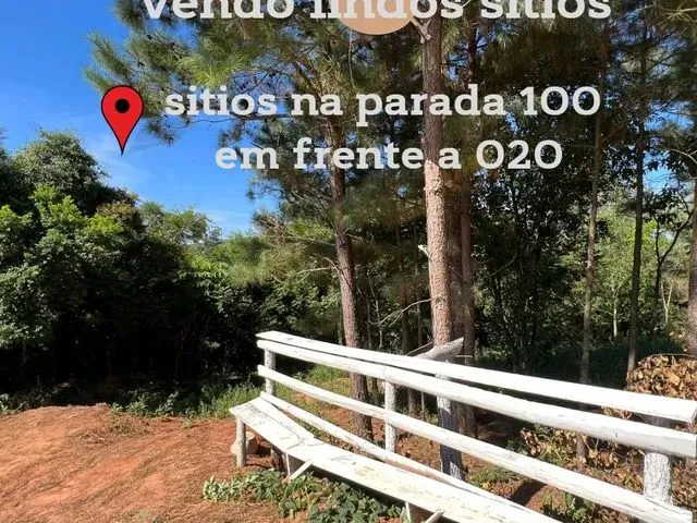 Imagem 7: Vendo Um Sítio com Riacho 100 Metros da Rs 020