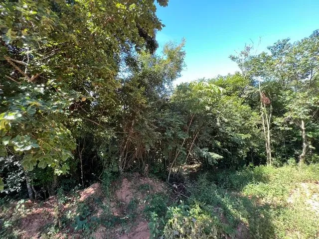Imagem 4: Vendo Um Sítio com Riacho 100 Metros da Rs 020