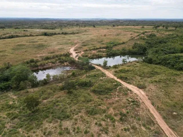 Imagem: Fazenda no Minucipio de Rosario Oeste