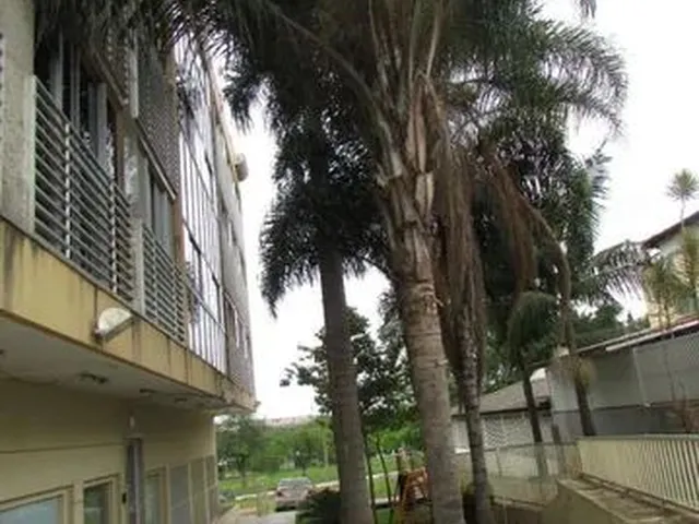 Imagem: Apartamento Bem Localizado