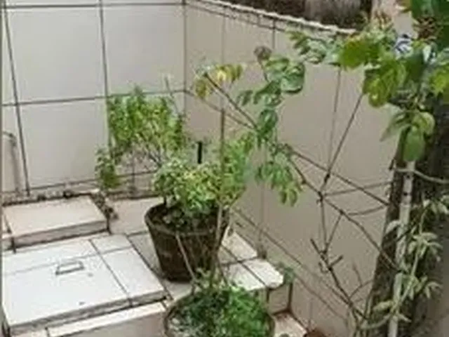 Imagem 15: Excelente Casa para Alugar em Areias!