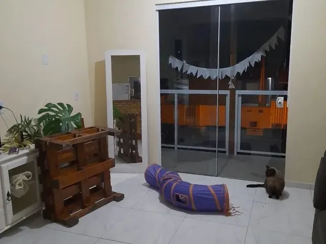 Imagem 4: Alugo Quarto- Bairro Carianos