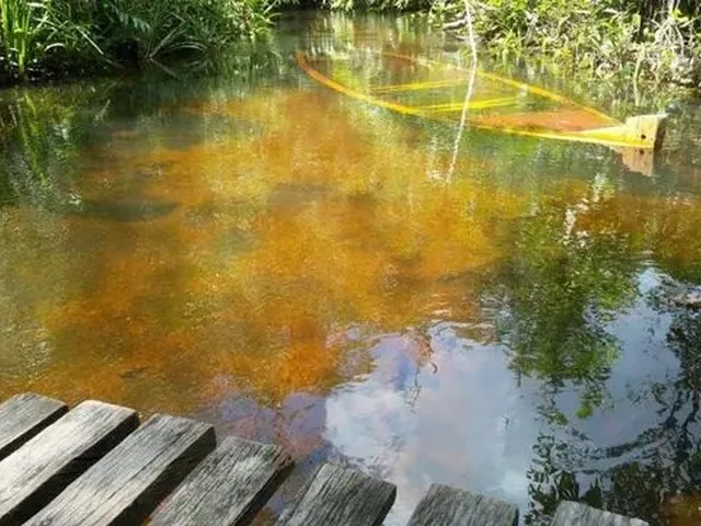 Imagem: A chácara possui 700.000m² de Área e está localizado em
