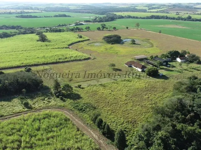 Imagem: Sítio com 26,5 Alqueires, Itapetininga