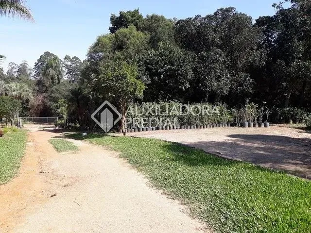 Imagem 1: Viamão - Chácara - Lomba do Pinheiro