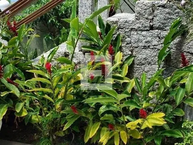 Imagem 2: Casa em Praia Brava - Florianópolis