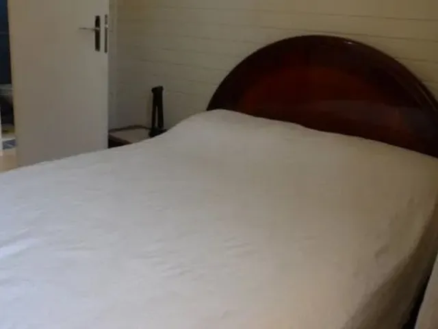 Imagem 9: Casa para Aluguel em Ingleses