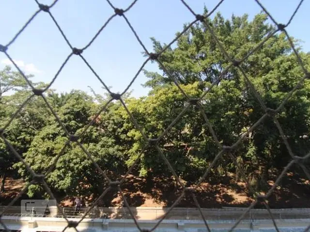 Imagem 5: Apartamento para Aluguel - Bonfim, 3 Quartos, 80 M2