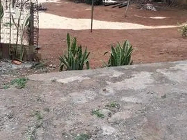 Imagem 7: Aluga-Se Casa -Bairro João Braz