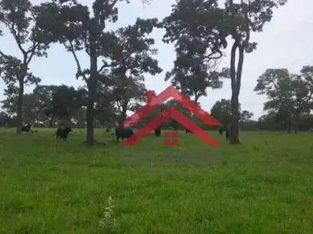 Imagem: Fazenda À Venda, 4840000 M² por R$ 13.000.000,00