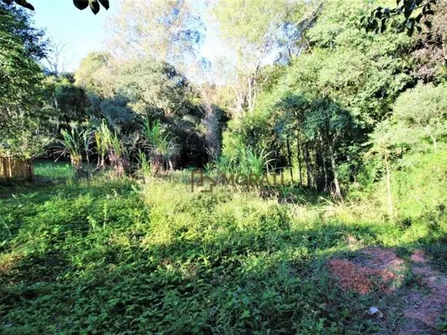 Imagem 8: Chácara com 3 Dormitórios À Venda, 5224 M² por R$ 550.000,00 - Agarau - São José