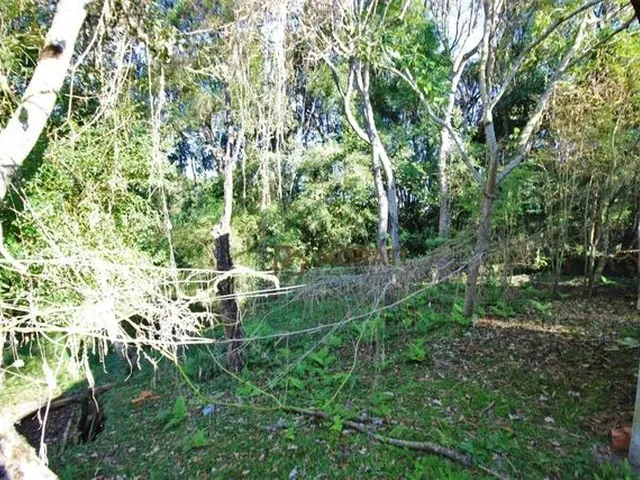 Imagem 9: Chácara com 3 Dormitórios À Venda, 5224 M² por R$ 550.000,00 - Agarau - São José