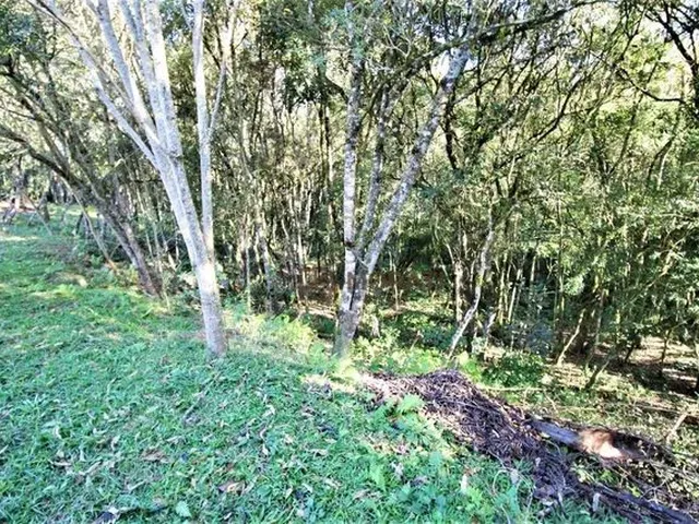 Imagem 5: Chácara com 3 Dormitórios À Venda, 5224 M² por R$ 550.000,00 - Agarau - São José