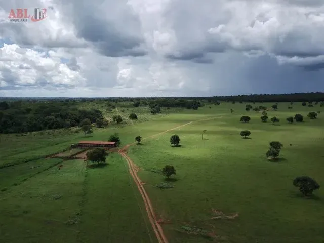 Imagem: Fazenda para Venda em Centro Inocência-Ms