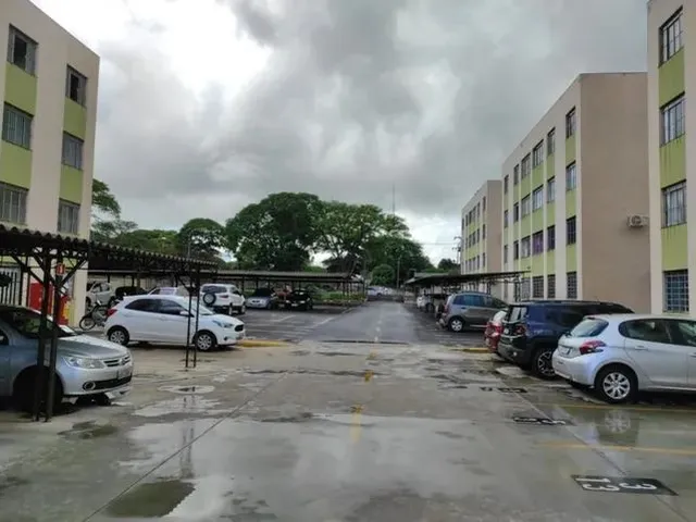 Imagem 14: Maringá - Apartamento - Vila Nova